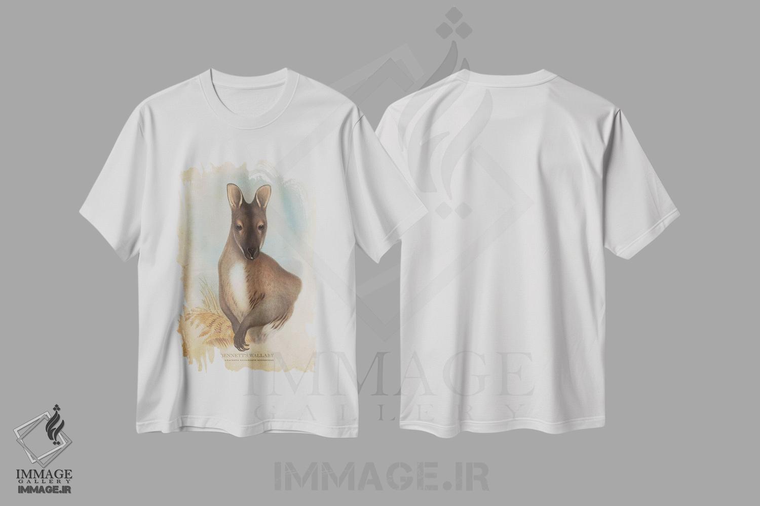 تیشرت طرح دار والابی بنت، تزئینی اثر پیکسل کهنه | فروشگاه ایماژ