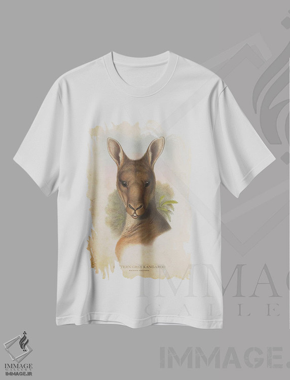 تیشرت طرح دار کانگوروی خاکستری شرقی، تزئینی اثر پیکسل کهنه | immage.ir
