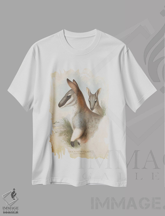 تیشرت طرح دار والابی تولاش، تزئینی اثر پیکسل کهنه | فروشگاه ایماژ