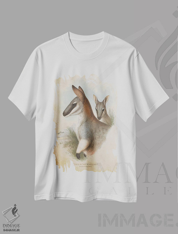 تیشرت طرح دار والابی تولاش، تزئینی اثر پیکسل کهنه | فروشگاه ایماژ