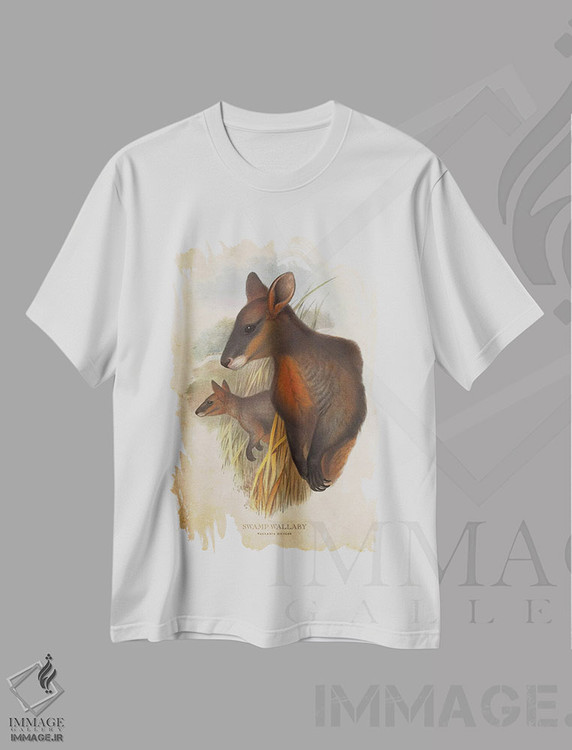 تیشرت طرح دار والابی مردابی، تزئینی اثر پیکسل کهنه | immage.ir