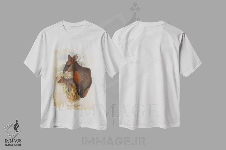 تیشرت طرح دار والابی مردابی، تزئینی اثر پیکسل کهنه | immage.ir