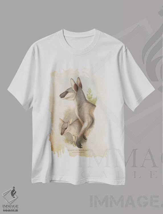 تیشرت طرح دار والابی دم شلاقی، تزئینی اثر پیکسل کهنه | immage.ir