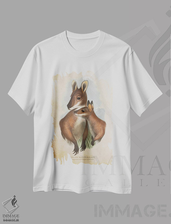 تیشرت طرح دار والابی گردن قرمز، تزئینی اثر پیکسل کهنه | immage.ir