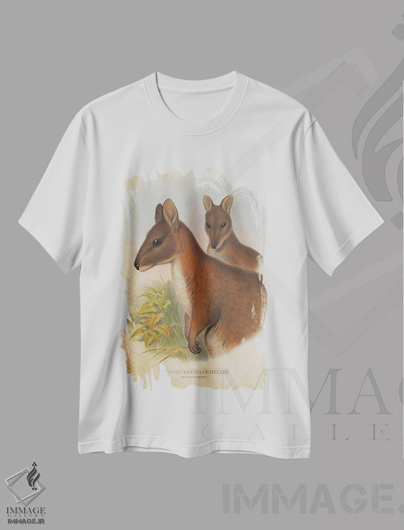 تیشرت طرح دار پادملون گردن قرمز، دست نقاشی و طراحی دستی اثر پیکسل کهنه | immage.ir