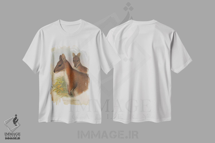 تیشرت طرح دار پادملون گردن قرمز، دست نقاشی و طراحی دستی اثر پیکسل کهنه | immage.ir