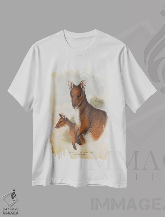 تیشرت طرح دار پادملون پا قرمز، دست نقاشی و طراحی دستی اثر پیکسل کهنه | فروشگاه ایماژ