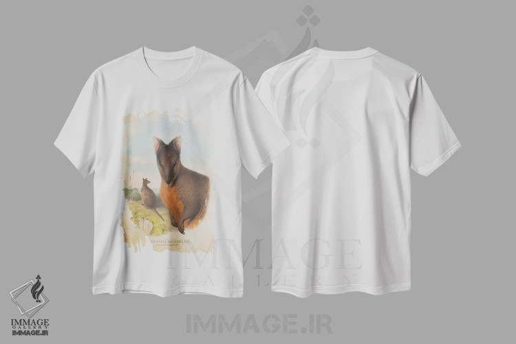 تیشرت طرح دار پادملون تاسمانیایی، دست نقاشی و طراحی دستی اثر پیکسل کهنه | immage.ir