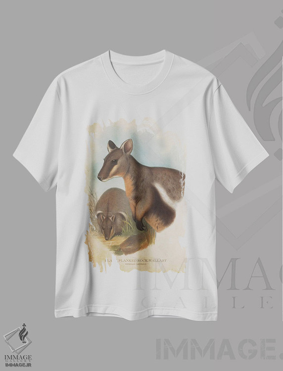 تیشرت طرح دار والابی صخره ای پهلو سیاه، دست نقاشی و طراحی دستی اثر پیکسل کهنه | immage.ir