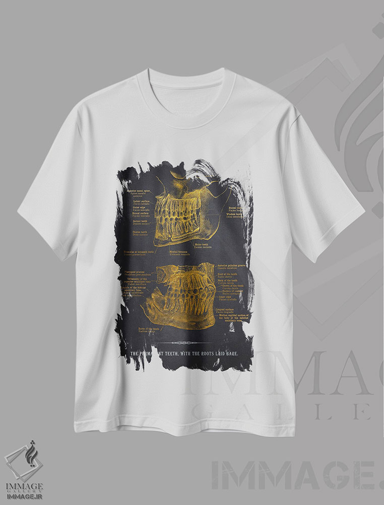 تیشرت طرح دار آناتومی دندان های دائمی، هنر دیجیتال اثر پیکسل کهنه | فروشگاه ایماژ