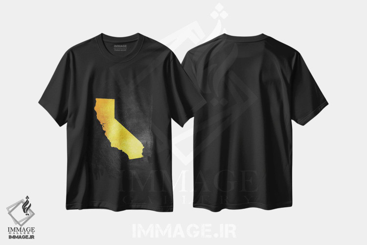تیشرت طرح دار نقشه طلایی کالیفرنیا، تزئینی اثر آدریان بالدُوینو | immage.ir