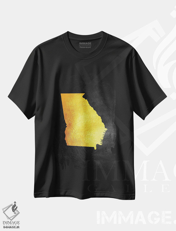 تیشرت طرح دار نقشه طلایی ایالت جورجیا، تزئینی اثر آدریان بالدُوینو | immage.ir