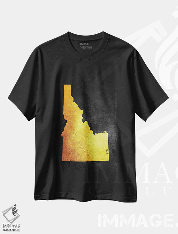 تیشرت طرح دار نقشه طلایی آیداهو، تزئینی اثر آدریان بالدُوینو | فروشگاه ایماژ