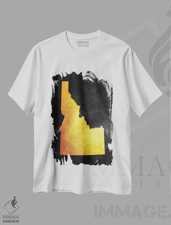 تیشرت طرح دار نقشه طلایی آیداهو، تزئینی اثر آدریان بالدُوینو | immage.ir