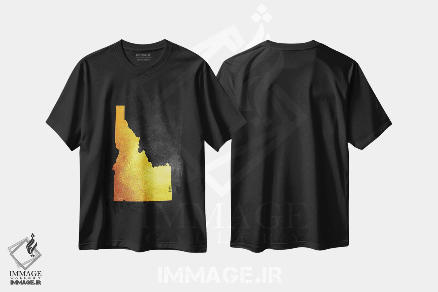 تیشرت طرح دار نقشه طلایی آیداهو، تزئینی اثر آدریان بالدُوینو | فروشگاه ایماژ