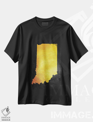 تیشرت طرح دار نقشه طلایی ایندیانا، تزئینی اثر آدریان بالدُوینو | فروشگاه ایماژ