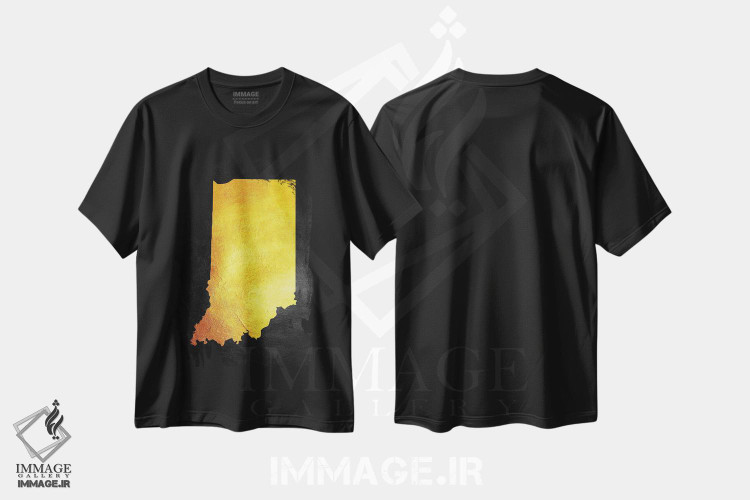 تیشرت طرح دار نقشه طلایی ایندیانا، تزئینی اثر آدریان بالدُوینو | فروشگاه ایماژ