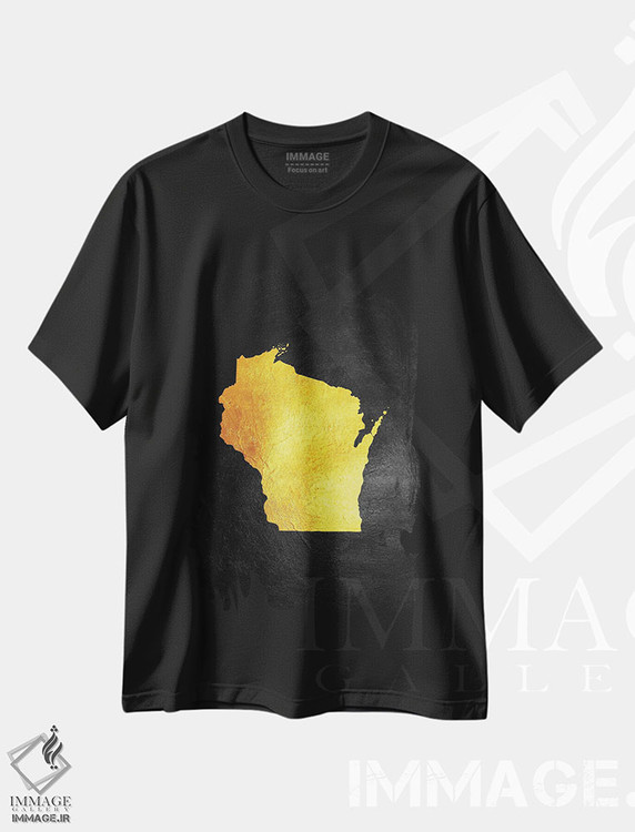 تیشرت طرح دار نقشه طلایی ویسکانسین، تزئینی اثر آدریان بالدُوینو | فروشگاه ایماژ