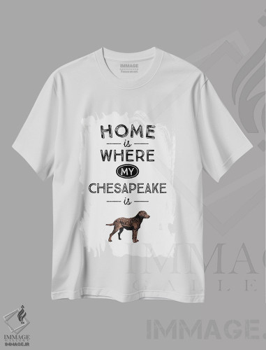 تیشرت طرح دار چساپیک، تایپوگرافی اثر پوسترهای طراحی آلچرا | فروشگاه ایماژ