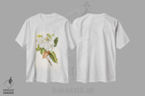 تیشرت طرح دار چاپ گیاه شناسی ماگنولیا شماره ۱، تزئینی اثر پیکسل کهنه | immage.ir