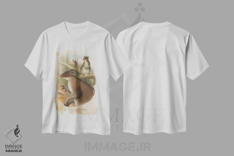 تیشرت طرح دار کانگوروی درختی خاکستری، دست نقاشی و طراحی دستی اثر پیکسل کهنه | immage.ir
