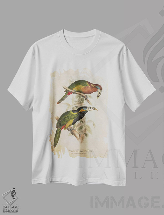 تیشرت طرح دار توقانه منقاردار خال دار، تزئینی اثر پیکسل کهنه | immage.ir