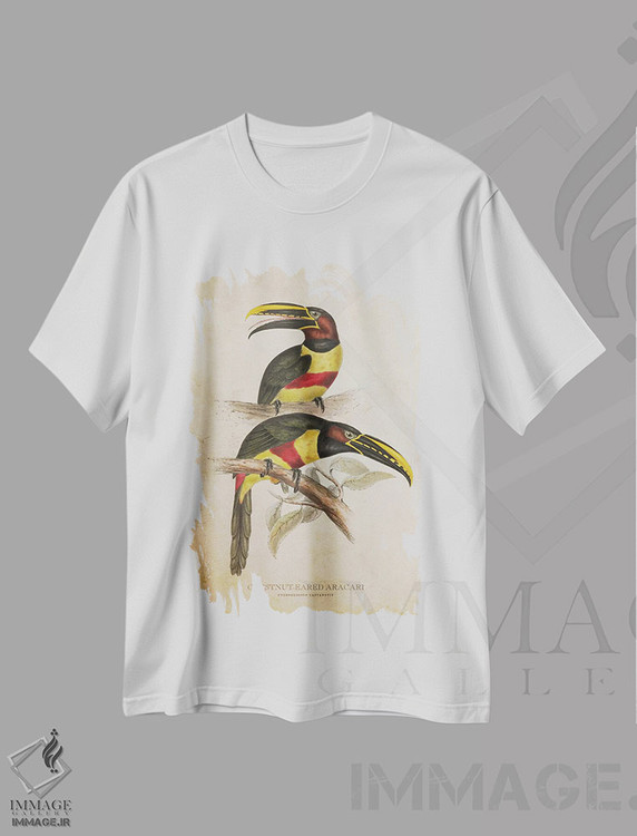 تیشرت طرح دار آراکاری گوش بلوطی، تزئینی اثر پیکسل کهنه | immage.ir