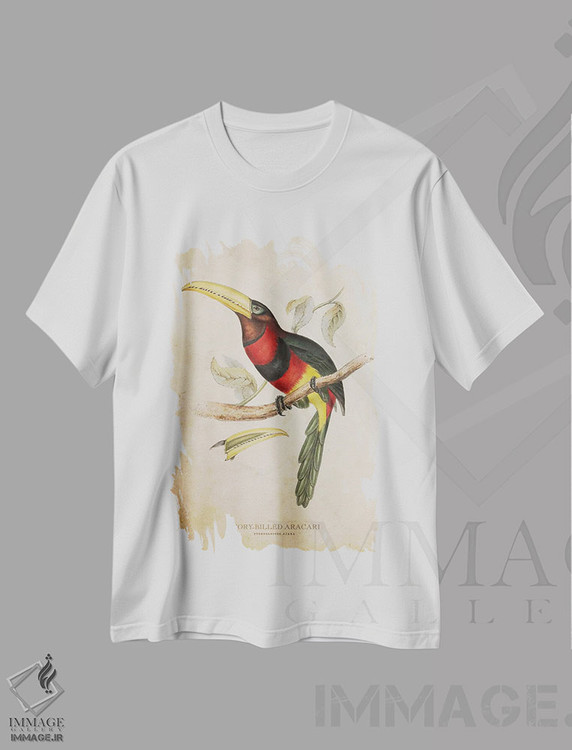 تیشرت طرح دار آراکاری منقار عاجی، تزئینی اثر پیکسل کهنه | immage.ir