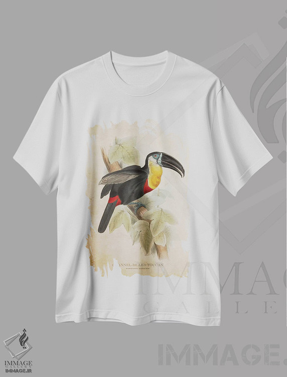 تیشرت طرح دار توقان با منقار کانال دار، تزئینی اثر پیکسل کهنه | immage.ir