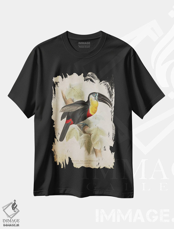 تیشرت طرح دار توقان با منقار کانال دار، تزئینی اثر پیکسل کهنه | فروشگاه ایماژ