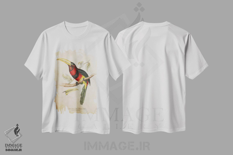 تیشرت طرح دار آراکاری منقار عاجی، تزئینی اثر پیکسل کهنه | immage.ir