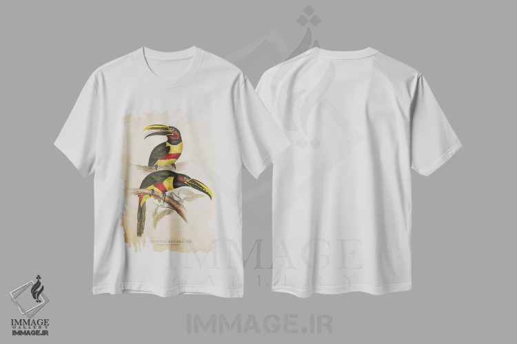 تیشرت طرح دار آراکاری گوش بلوطی، تزئینی اثر پیکسل کهنه | immage.ir