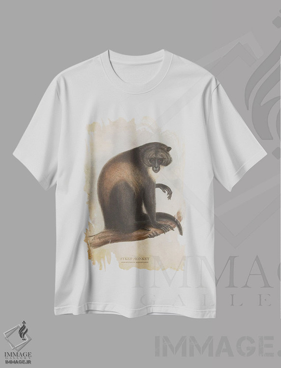 تیشرت طرح دار میمون سایکس، تزئینی اثر پیکسل کهنه | immage.ir