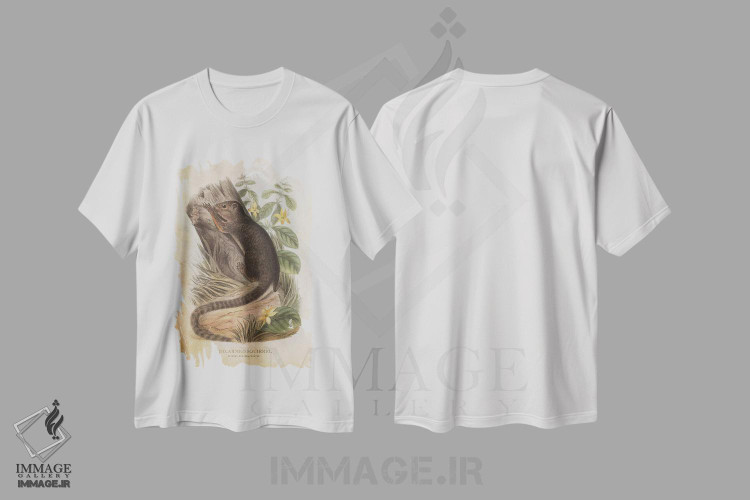 تیشرت طرح دار سنجاب بازوی قرمز، تزئینی اثر پیکسل کهنه | immage.ir