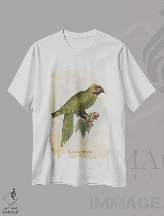 تیشرت طرح دار طوطی کوچک دم بلند، تزئینی اثر پیکسل کهنه | immage.ir