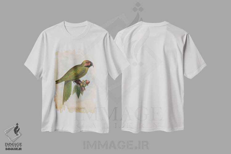 تیشرت طرح دار طوطی کوچک دم بلند، تزئینی اثر پیکسل کهنه | immage.ir