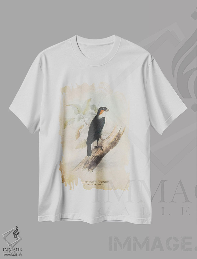 تیشرت طرح دار شاهینکو فیلیپینی، تزئینی اثر پیکسل کهنه | immage.ir