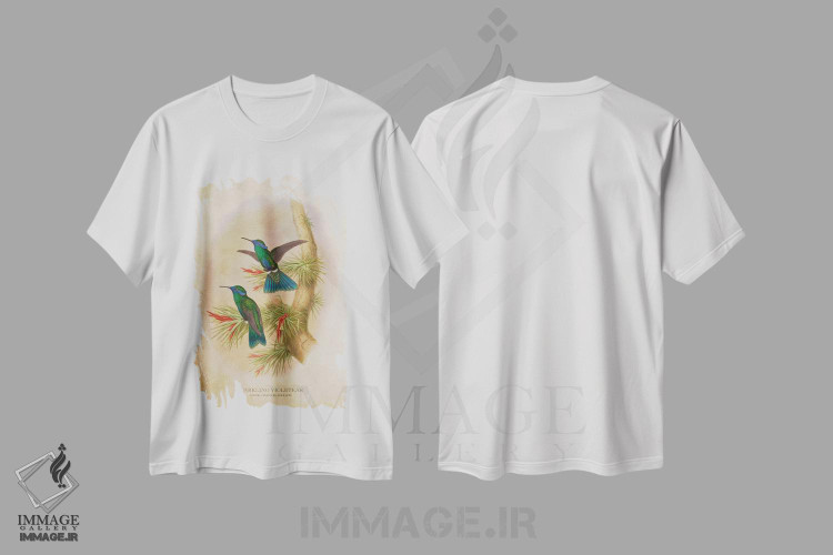 تیشرت طرح دار کولیبری کوروسکانس ژرمانوس، تزئینی اثر پیکسل کهنه | immage.ir