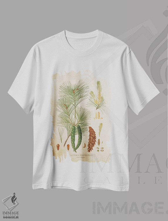 تیشرت طرح دار میوه درخت کاج سفید شرقی، تزئینی اثر پیکسل کهنه | immage.ir