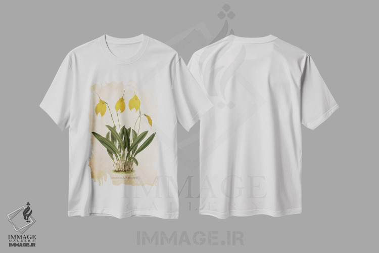 تیشرت طرح دار گل ارکیده، تزئینی اثر پیکسل کهنه | immage.ir