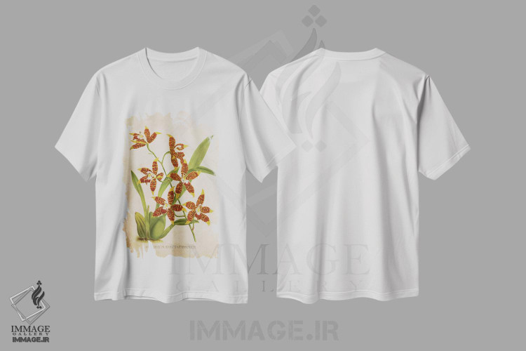 تیشرت طرح دار گل ارکیده، تزئینی اثر پیکسل کهنه | immage.ir