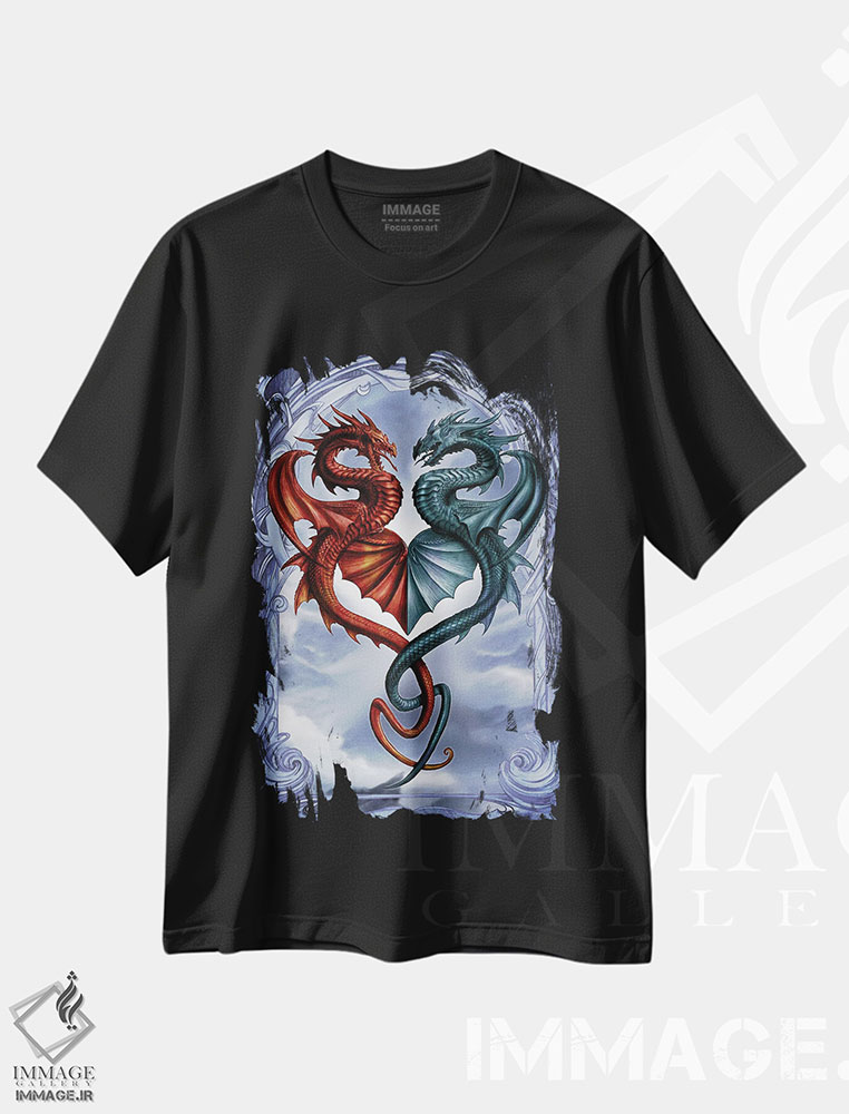 تیشرت طرح دار قرار پنهانی اژدهایی، دکوراسیون جایگزین اثر آلکمی انگلند | فروشگاه ایماژ