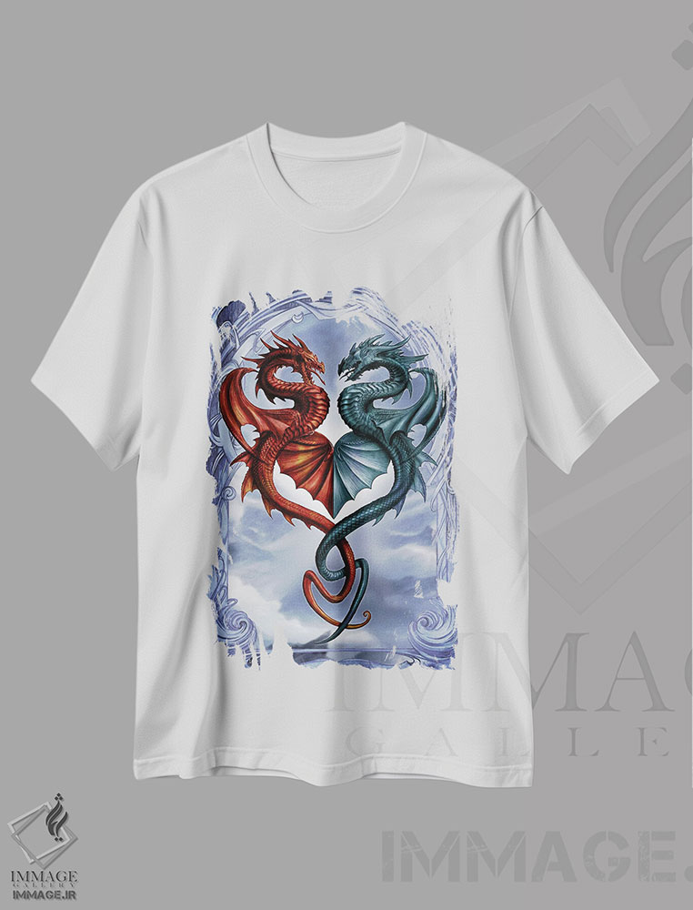 تیشرت طرح دار قرار پنهانی اژدهایی، دکوراسیون جایگزین اثر آلکمی انگلند | immage.ir
