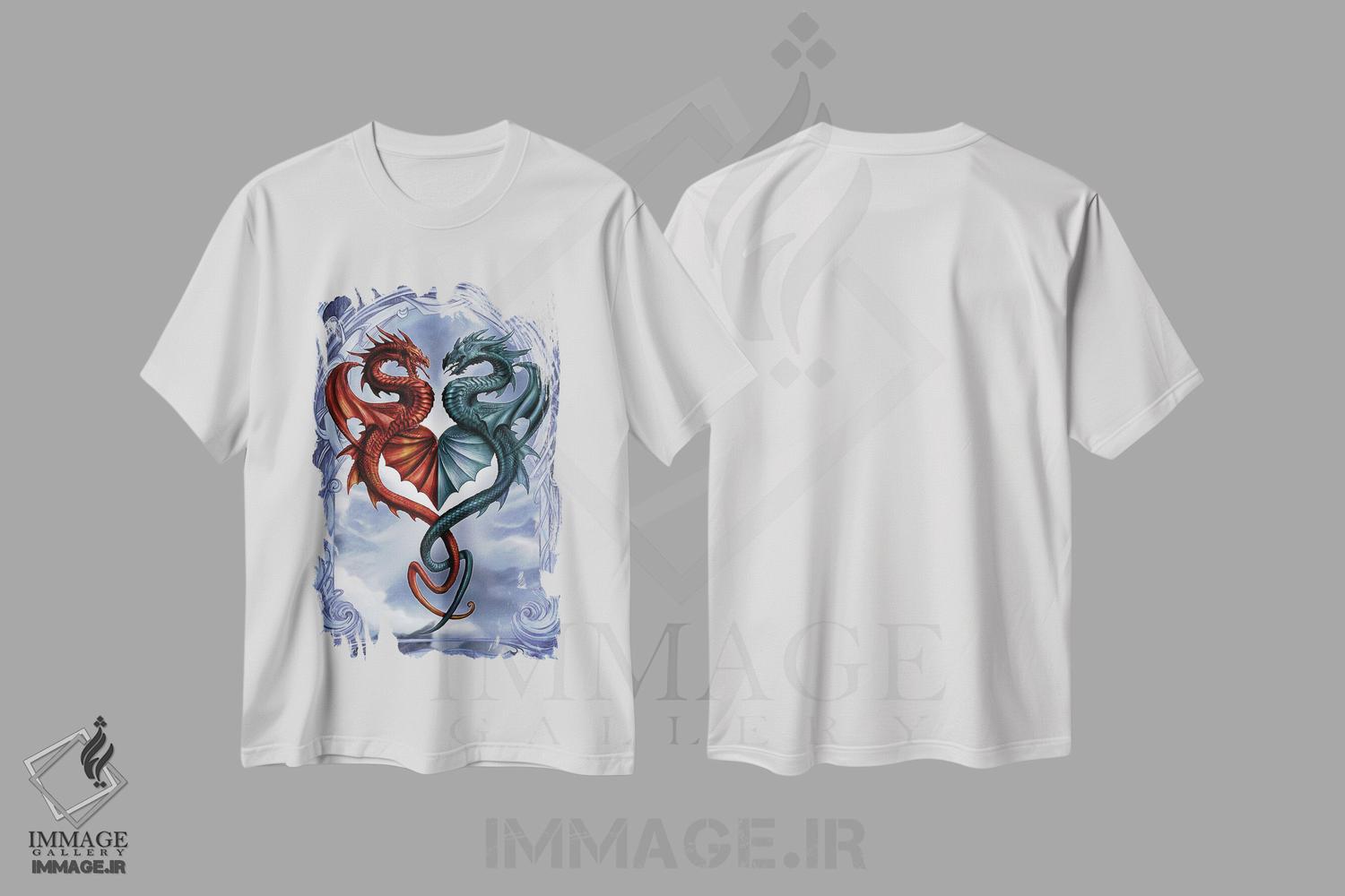 تیشرت طرح دار قرار پنهانی اژدهایی، دکوراسیون جایگزین اثر آلکمی انگلند | immage.ir
