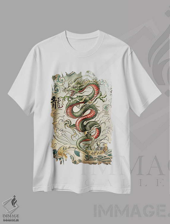 تیشرت طرح دار اژدهای کمین کرده، دکوراسیون جایگزین اثر آلکمی انگلند | immage.ir