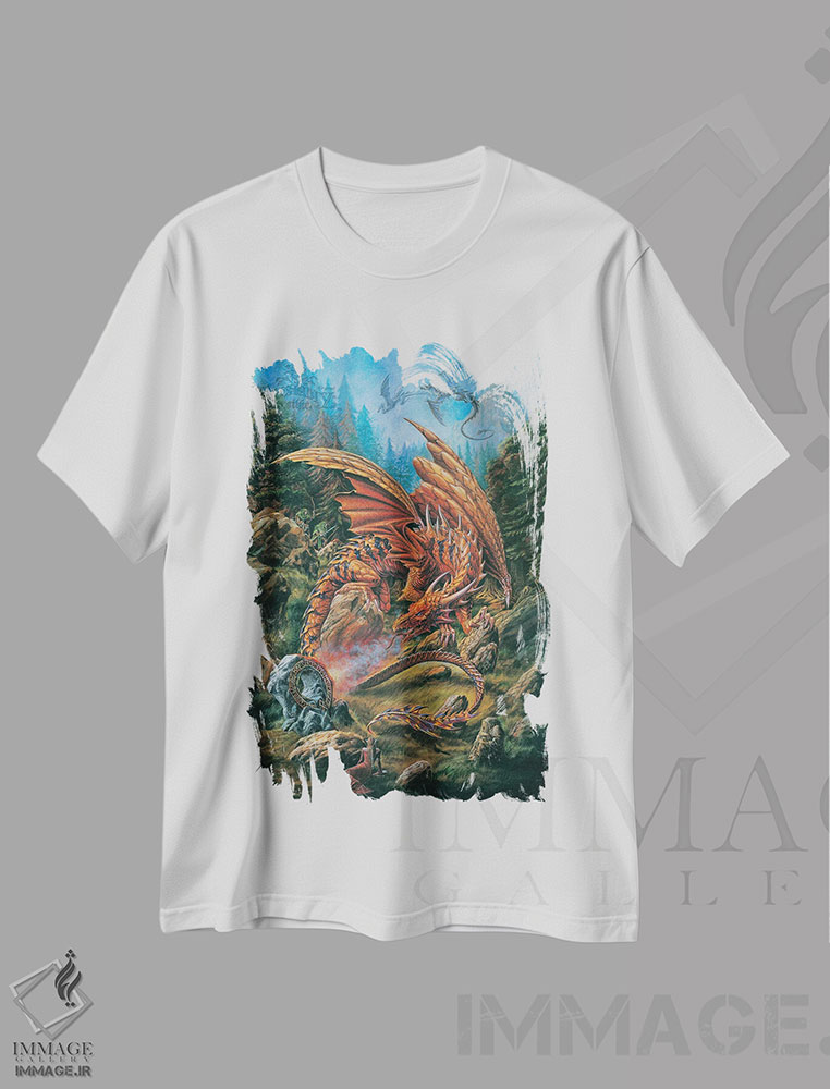تیشرت طرح دار اژدهایان حلقه ی رون، دکوراسیون جایگزین اثر آلکمی انگلند | immage.ir