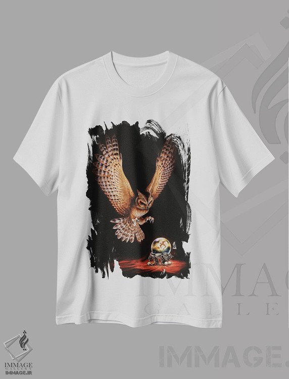 تیشرت طرح دار جغد آسترونتیل، دکوراسیون جایگزین اثر آلکمی انگلند | immage.ir