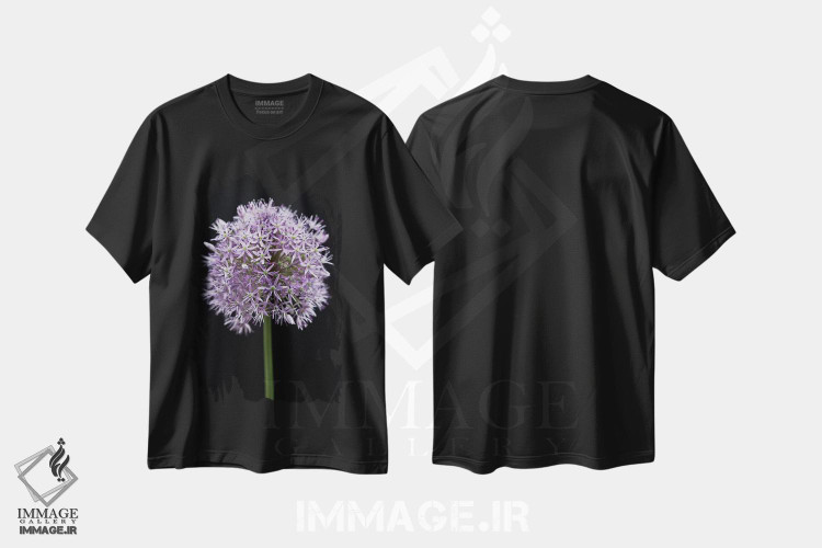 تیشرت طرح دار گل آلیوم، تزئینی اثر آصاف فرانک | فروشگاه ایماژ