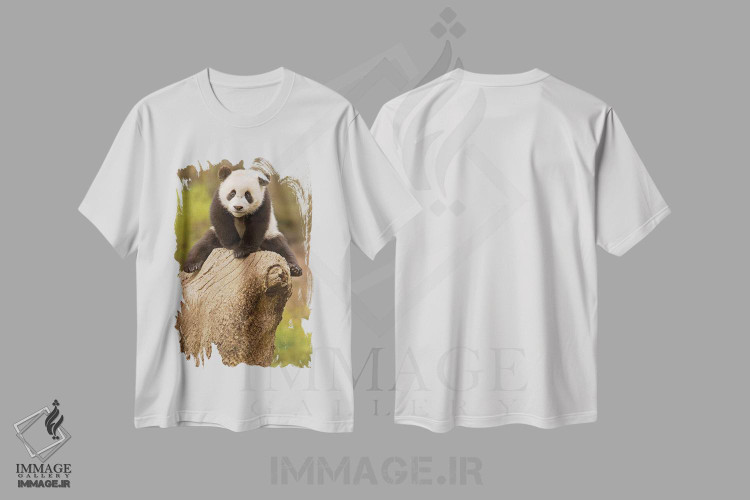 تیشرت طرح دار آثار آلیس گارلند - فروشگاه ایماژ