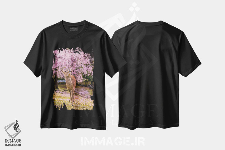 تیشرت طرح دار آثار الکس جی پرز - immage.ir